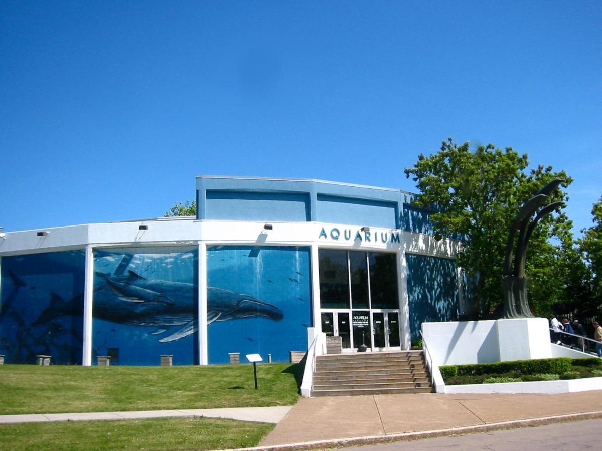 Falls Retreat: Riverside Downtown Getaway Niagara Falls Exterior photo